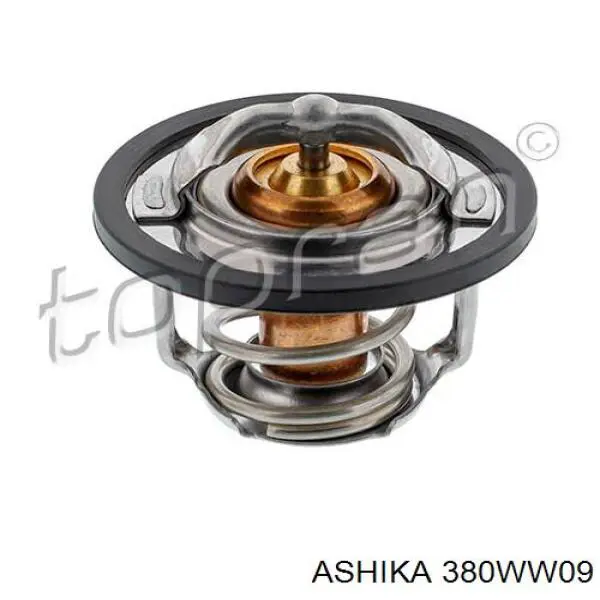 Термостат 380WW09 Ashika