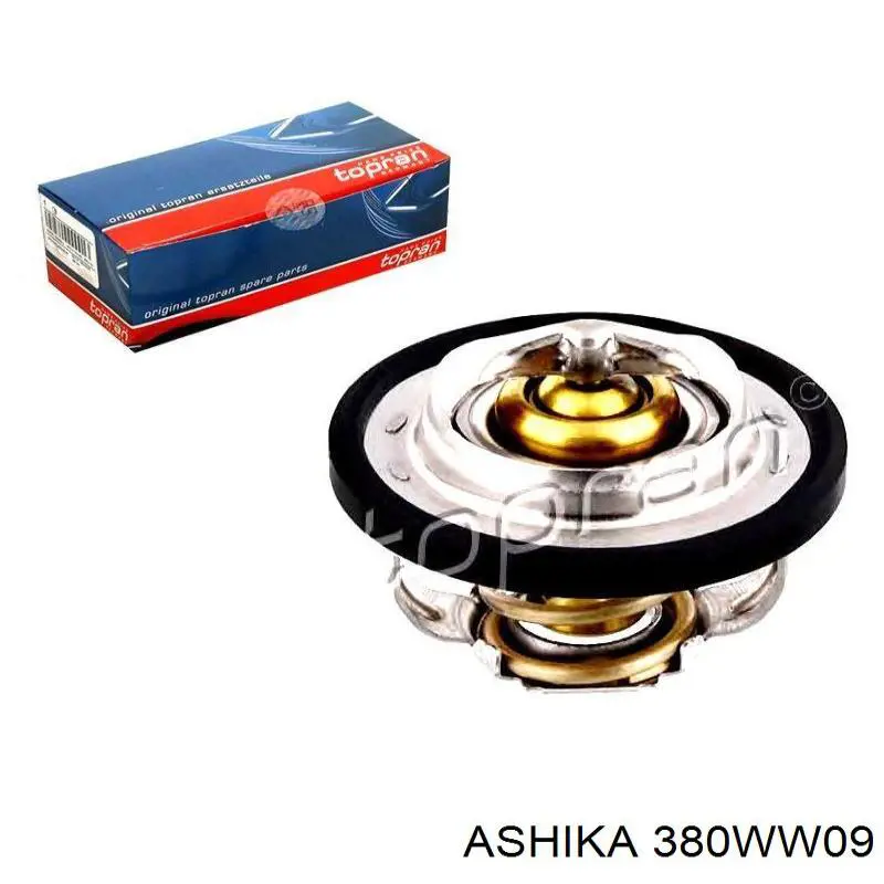 Термостат в зборі Ashika 380WW09