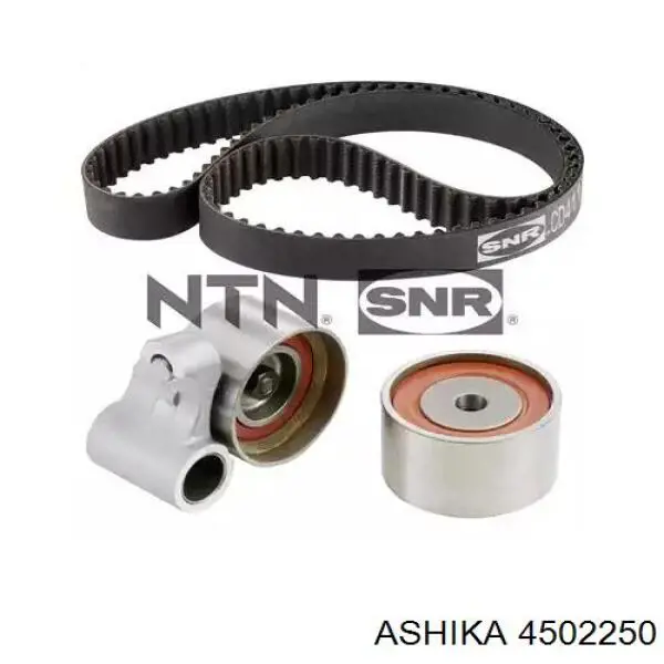 Купити 4502250 Ashika Ролик паразитний ГРМ