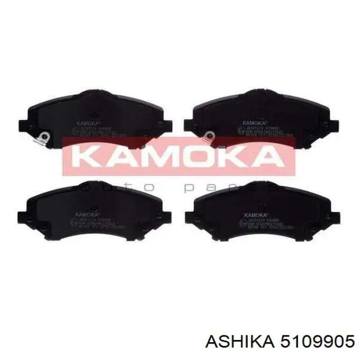 5109905 Ashika Колодки гальмівні задні, дискові