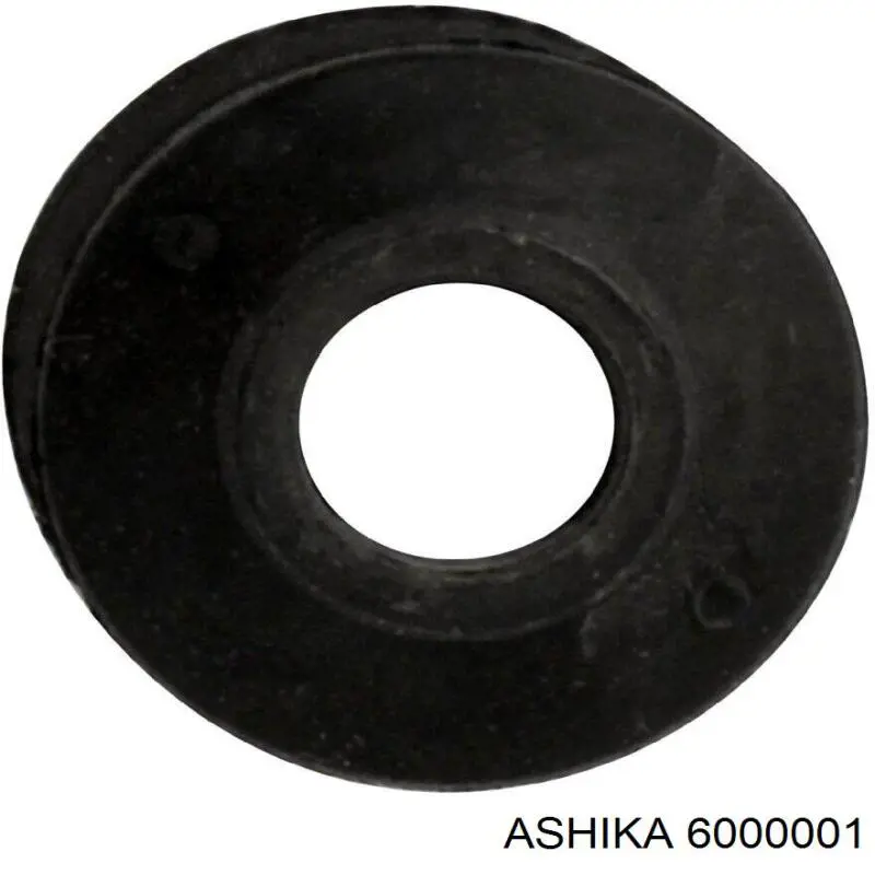 6000001 Ashika диск гальмівний передній