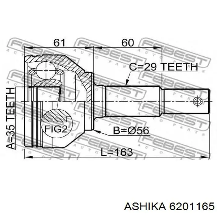 6201165 Ashika Граната зовнішня
