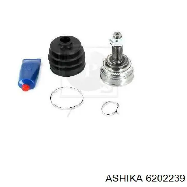 Купити 6202239 Ashika Шарнір приводу зовнішній