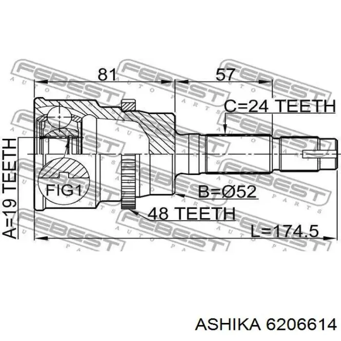6206614 Ashika Граната зовнішня