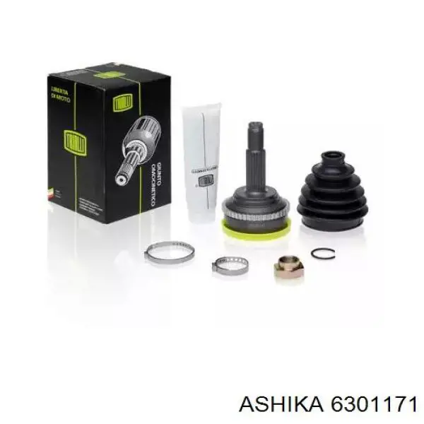  6301171 Ashika