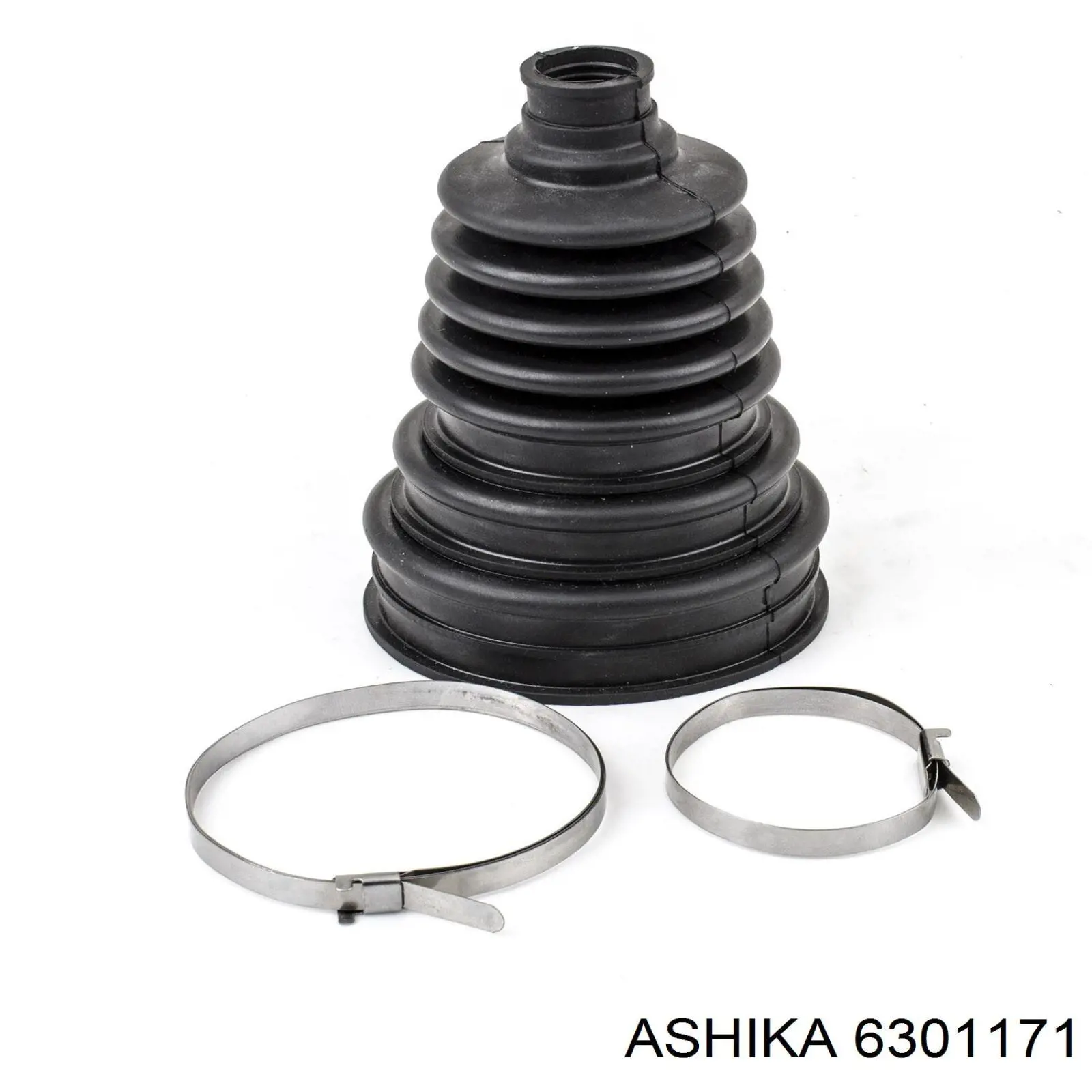 6301171 Ashika 