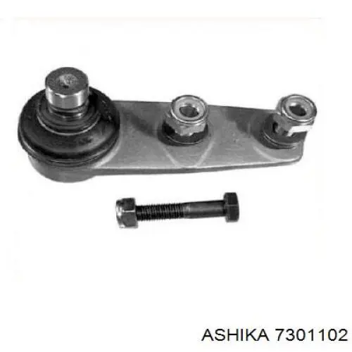 Купити 7301102 Ashika Кульова опора, нижня