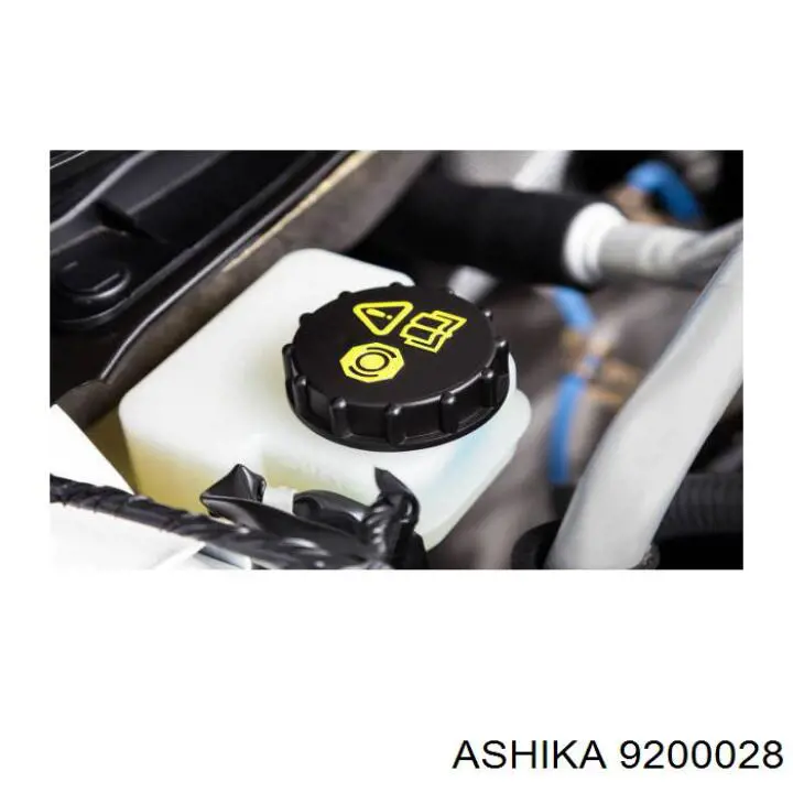 9200028 Ashika комплект зчеплення (3 частини)