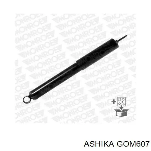  GOM607 Ashika