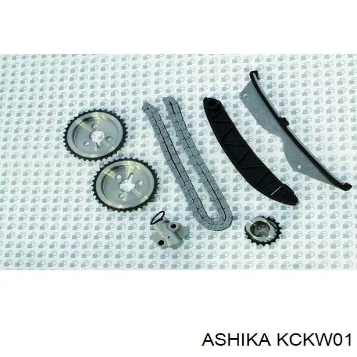 KCKW01 Ashika 