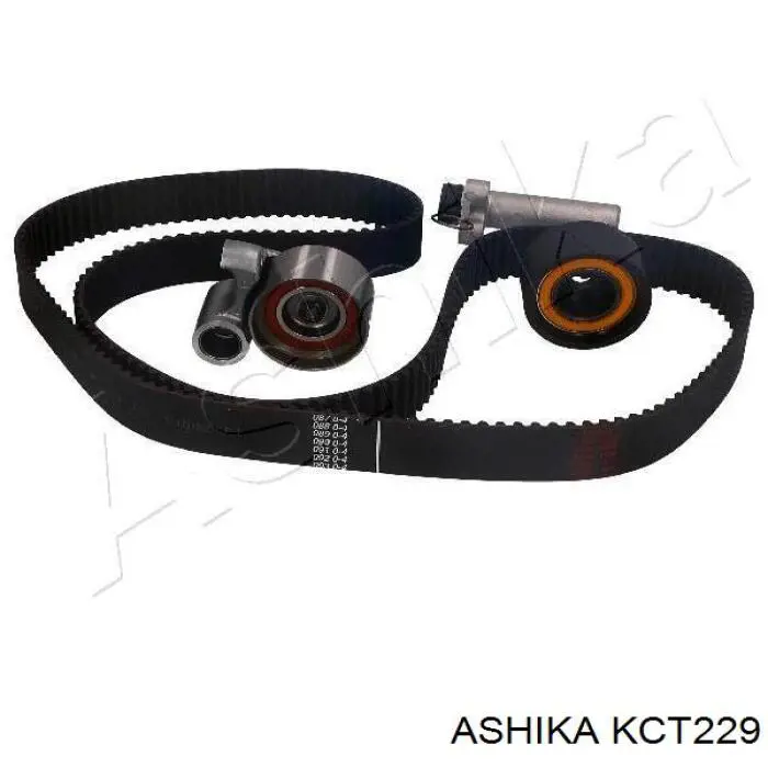  KCT229 Ashika