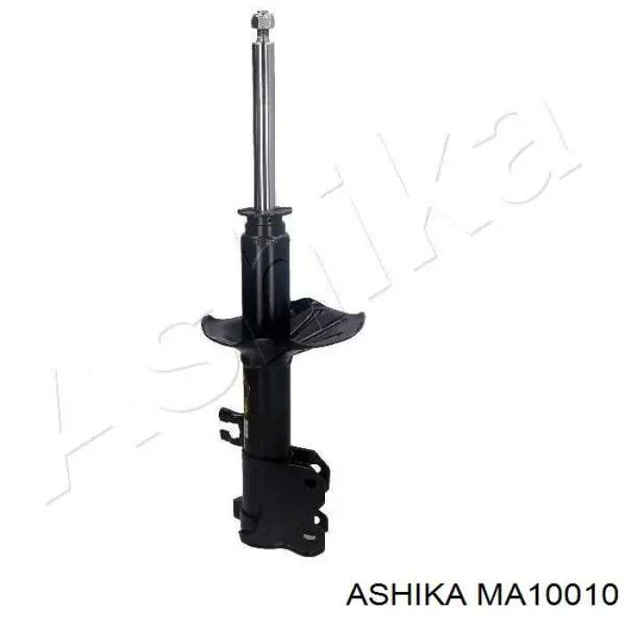  MA10010 Ashika