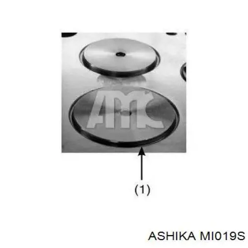 Головка блока циліндрів (ГБЦ) XXMI019S Ashika