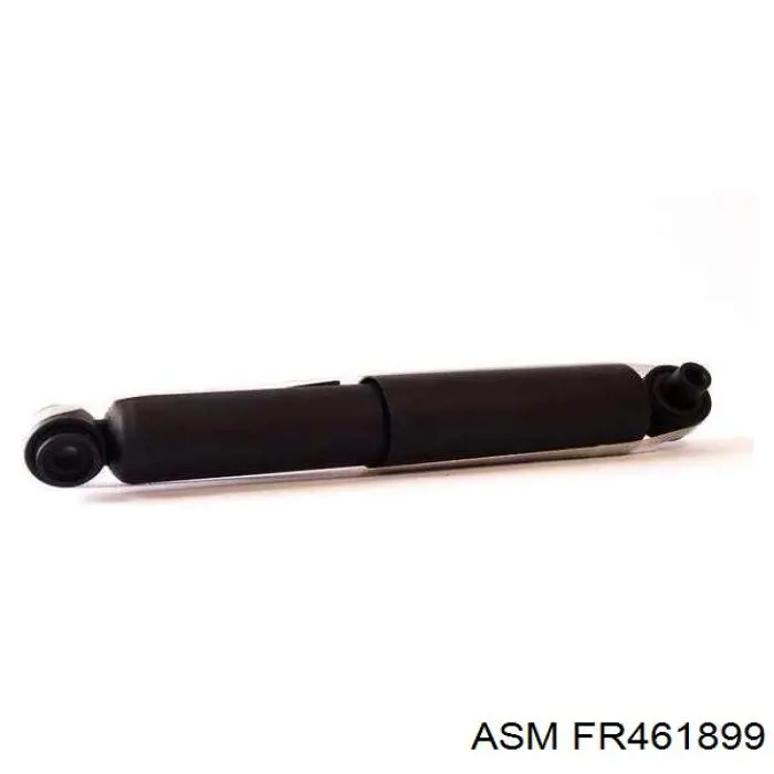 FR461899 ASM амортизатор передній, правий
