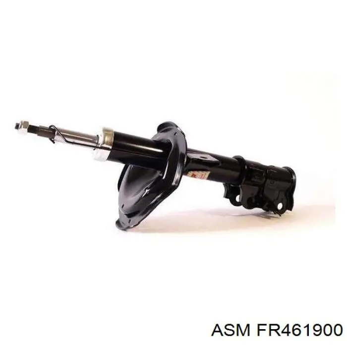 FR461900 ASM амортизатор задній