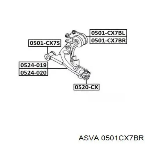 Сайлентблок нижнього важеля передньої підвіски Asva 0501CX7BR ціна, від 34.17 USD