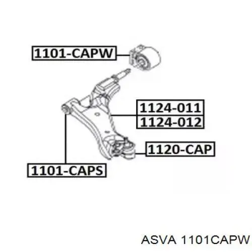 Сайлентблок нижнього важеля передньої підвіски Asva 1101CAPW ціна, від 12.61 USD