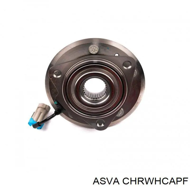 CHRWHCAPF Asva Маточина (передня)