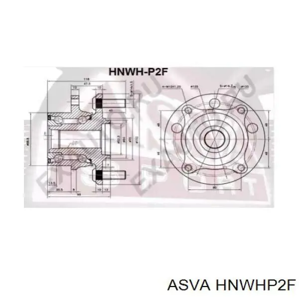 HNWHP2F Asva Маточина (передня)