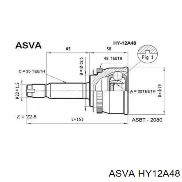 HY12A48 Asva шрус зовнішній передній