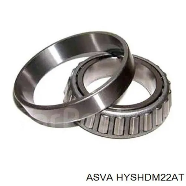 HYSHDM22AT Asva 