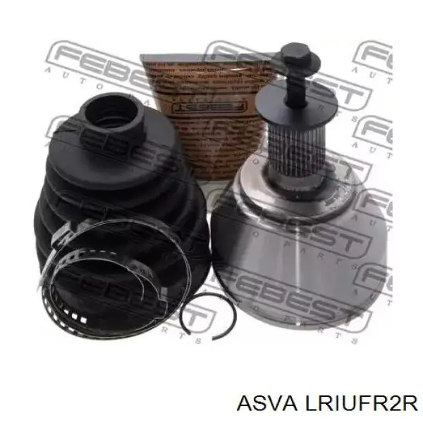 Граната внутрішня, задня Asva LRIUFR2R