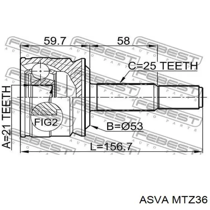 MTZ36 Asva Граната зовнішня
