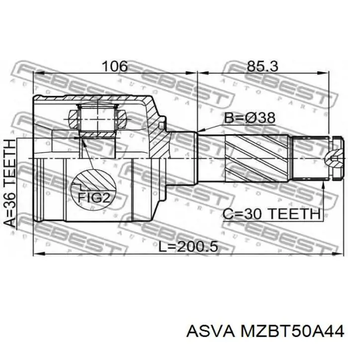 ШРУС зовнішній передній MZBT50A44 Asva