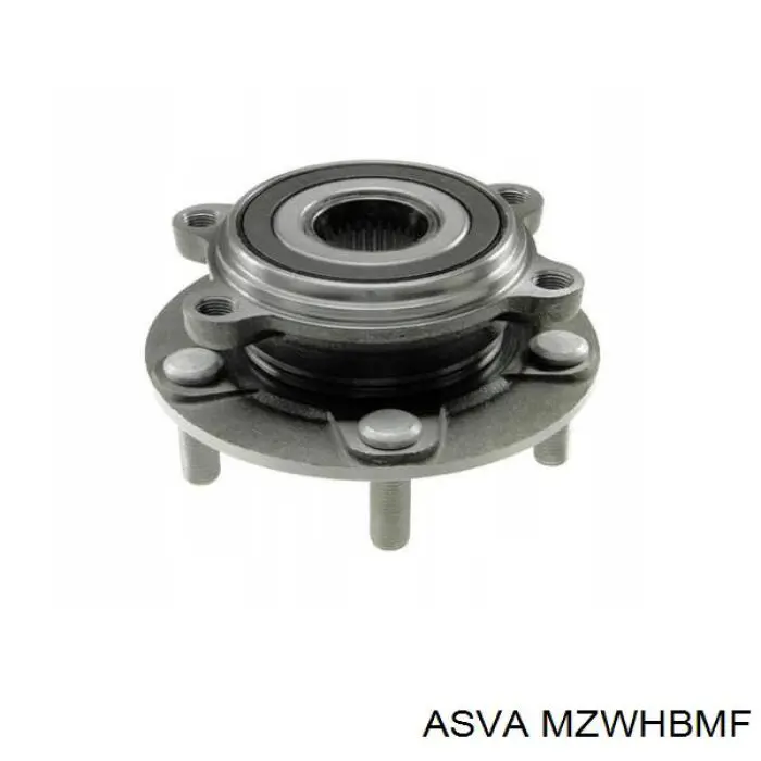 MZWHBMF Asva Маточина (передня)
