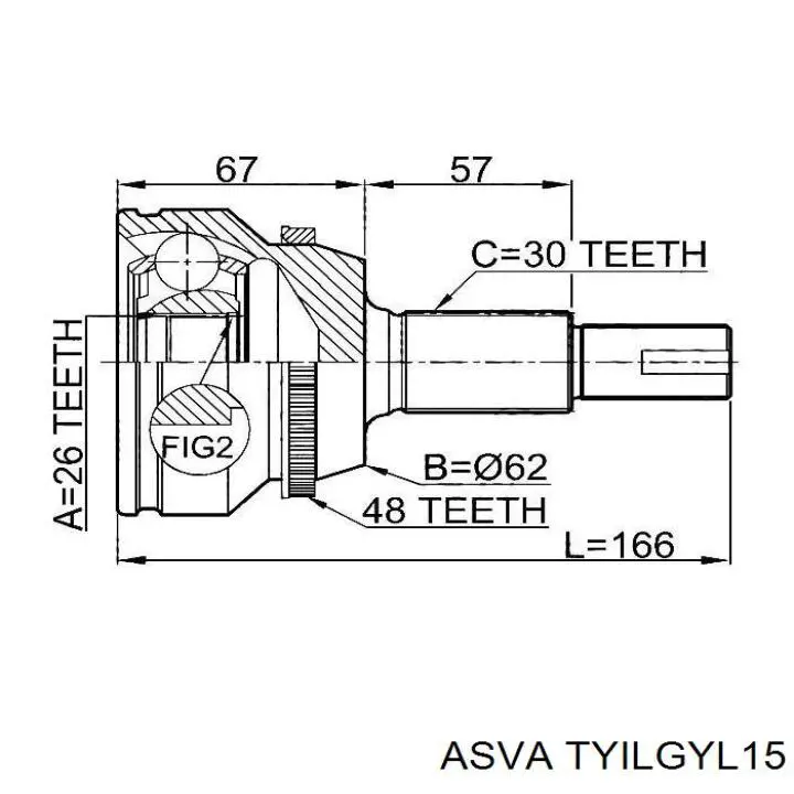  TYILGYL15 Asva