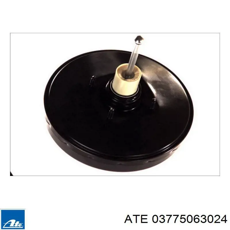Вакуумника TRW PSA381 ціна, від 189.48 USD