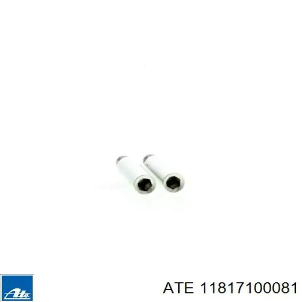 Направляюча супорту переднього ATE 11817100081 ціна, від 3.94 USD