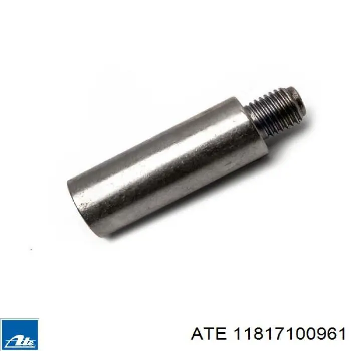 Направляюча супорту переднього ATE 11817100961 ціна, від 4.89 USD