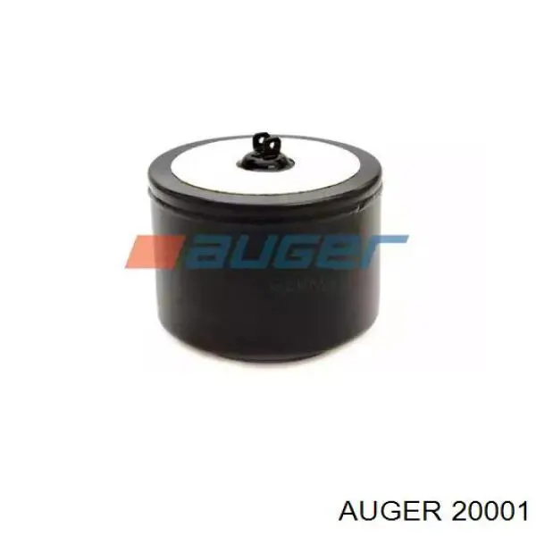  20001 Auger