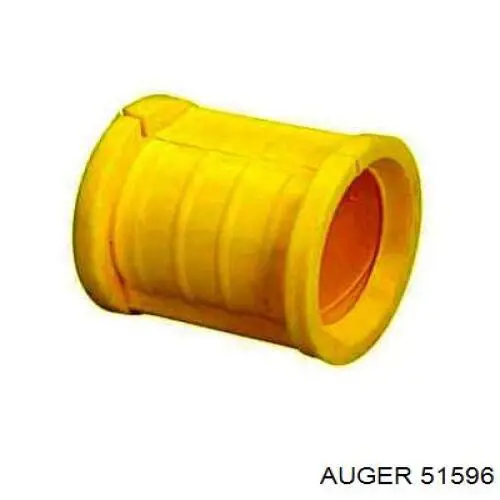 51596 Auger 