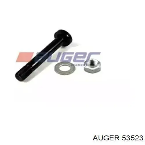 Купити CZM30010 CZZ Палець сережки задньої ресори