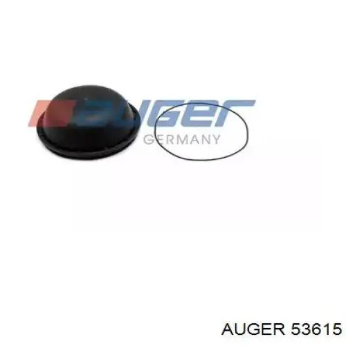 Заглушка маточини 5010571187 Renault (RVI)