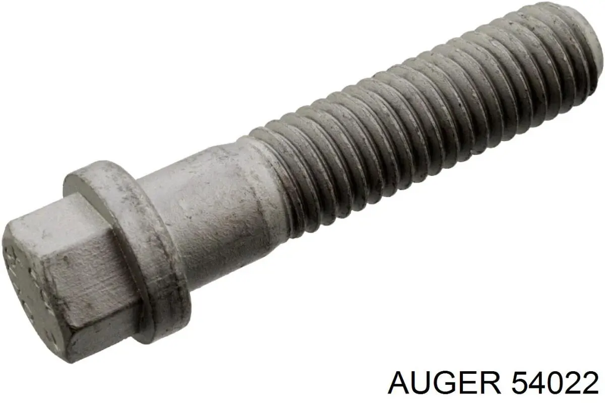  54022 Auger