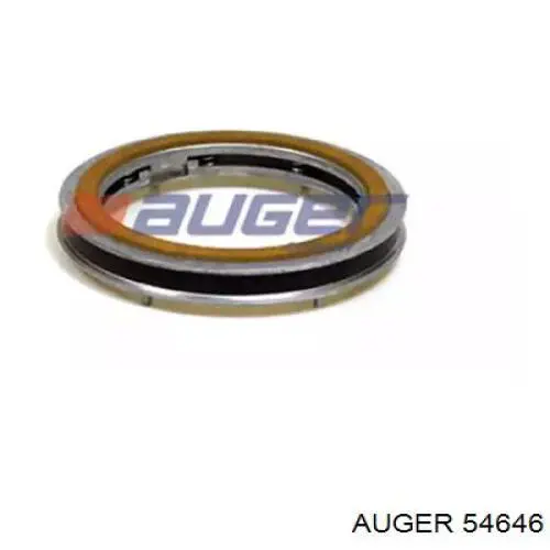54646 Auger 