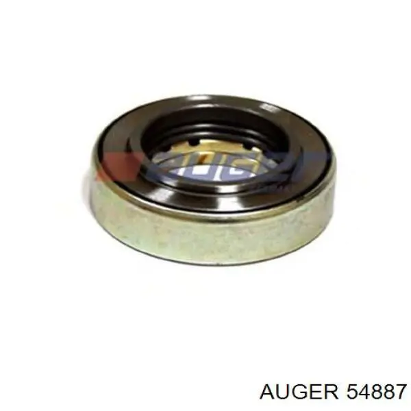  54887 Auger