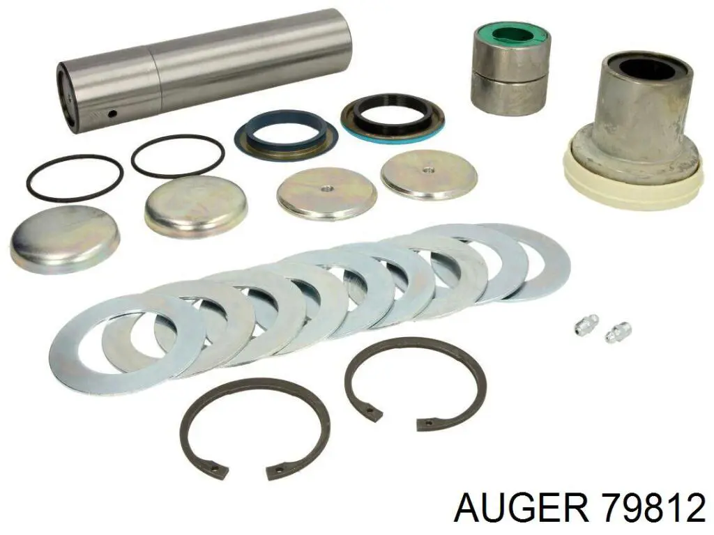 Купити 81442056046 MAN Ремкомплект шкворня поворотного кулака