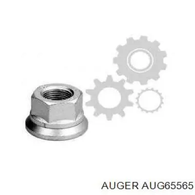 Купити 5010262936 Renault (RVI) Колісні гайки
