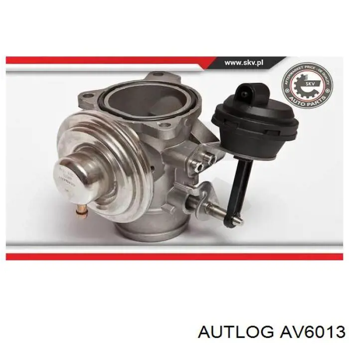 Клапан EGR Autlog AV6013 ціна, від 36.50 USD