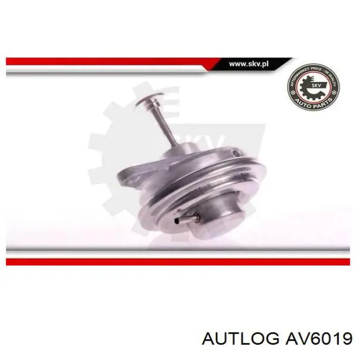 Клапан EGR Autlog AV6019 ціна, від 34.22 USD