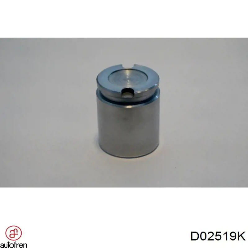 Поршень супорту гальмівного, заднього Autofren D02519K ціна, від 7.52 USD
