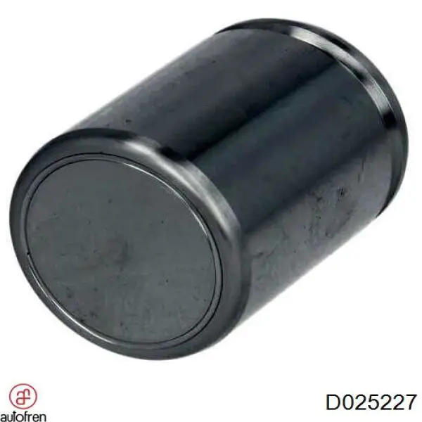 Купити D025227 Autofren Поршень супорту гальмівного, переднього