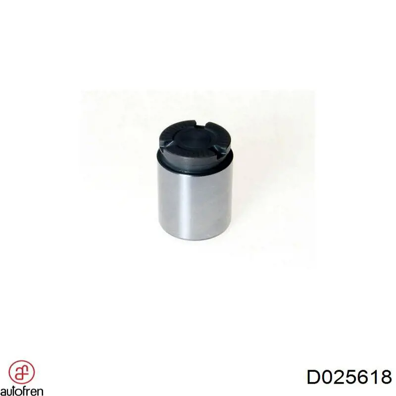 Поршень супорту гальмівного, заднього Autofren D025618 ціна, від 5.18 USD