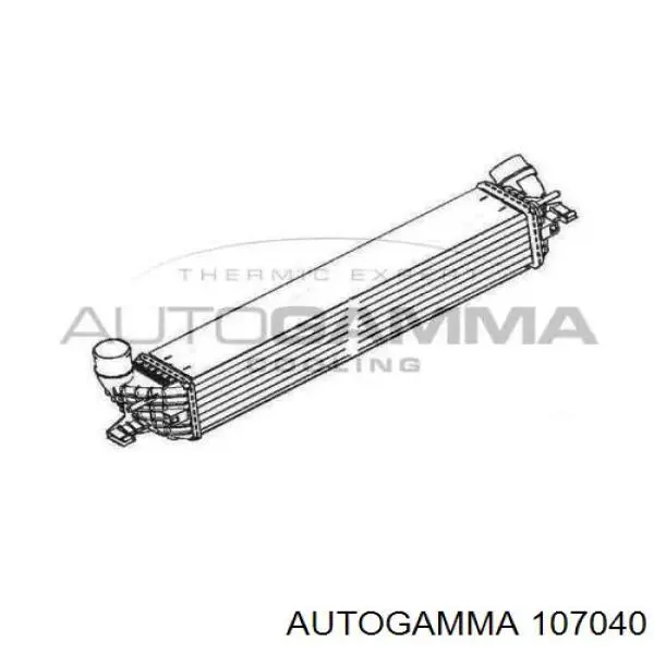 Інтеркулер 144960287R Renault (RVI)