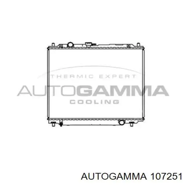 MR340052 Mitsubishi Радіатор охолодження двигуна