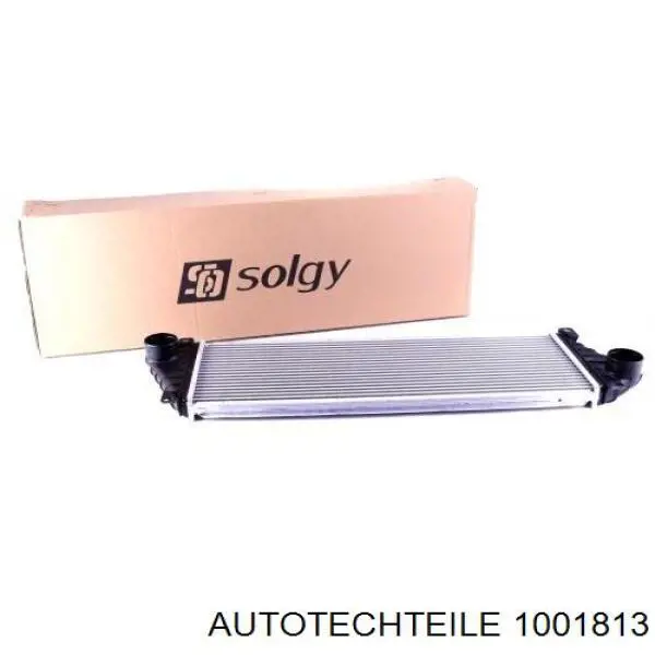 Радіатор масляний 1001813 Autotechteile